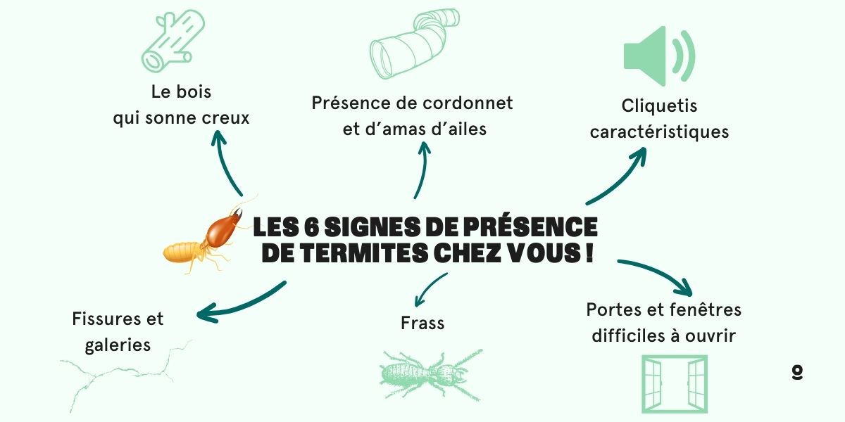 Les 7 signes de présence de termites chez vous